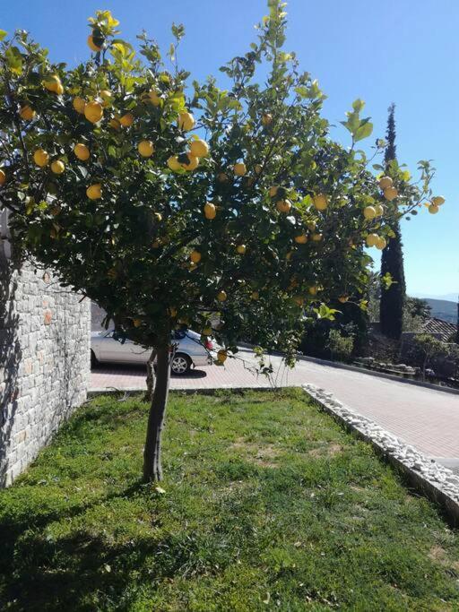 Appartement Nafplio, Hill With An Amazing View Extérieur photo